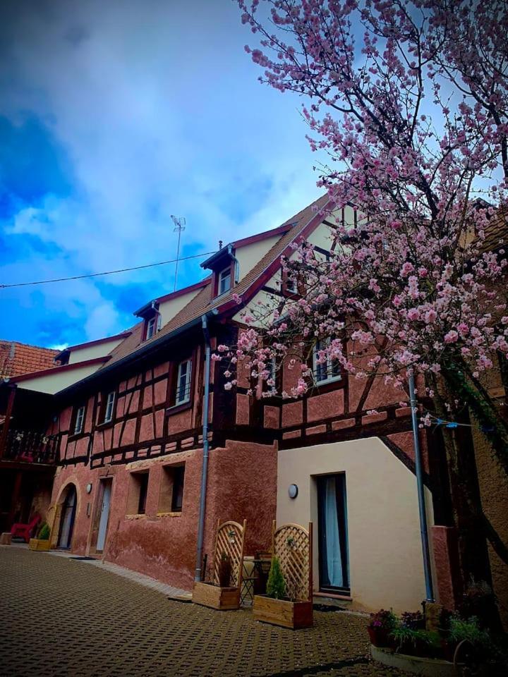 Le Clocher " Sous Les Combles" Parking Gratuit Beblenheim Luaran gambar