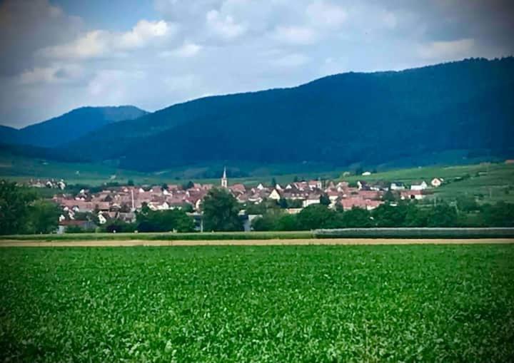 Le Clocher " Sous Les Combles" Parking Gratuit Beblenheim Luaran gambar